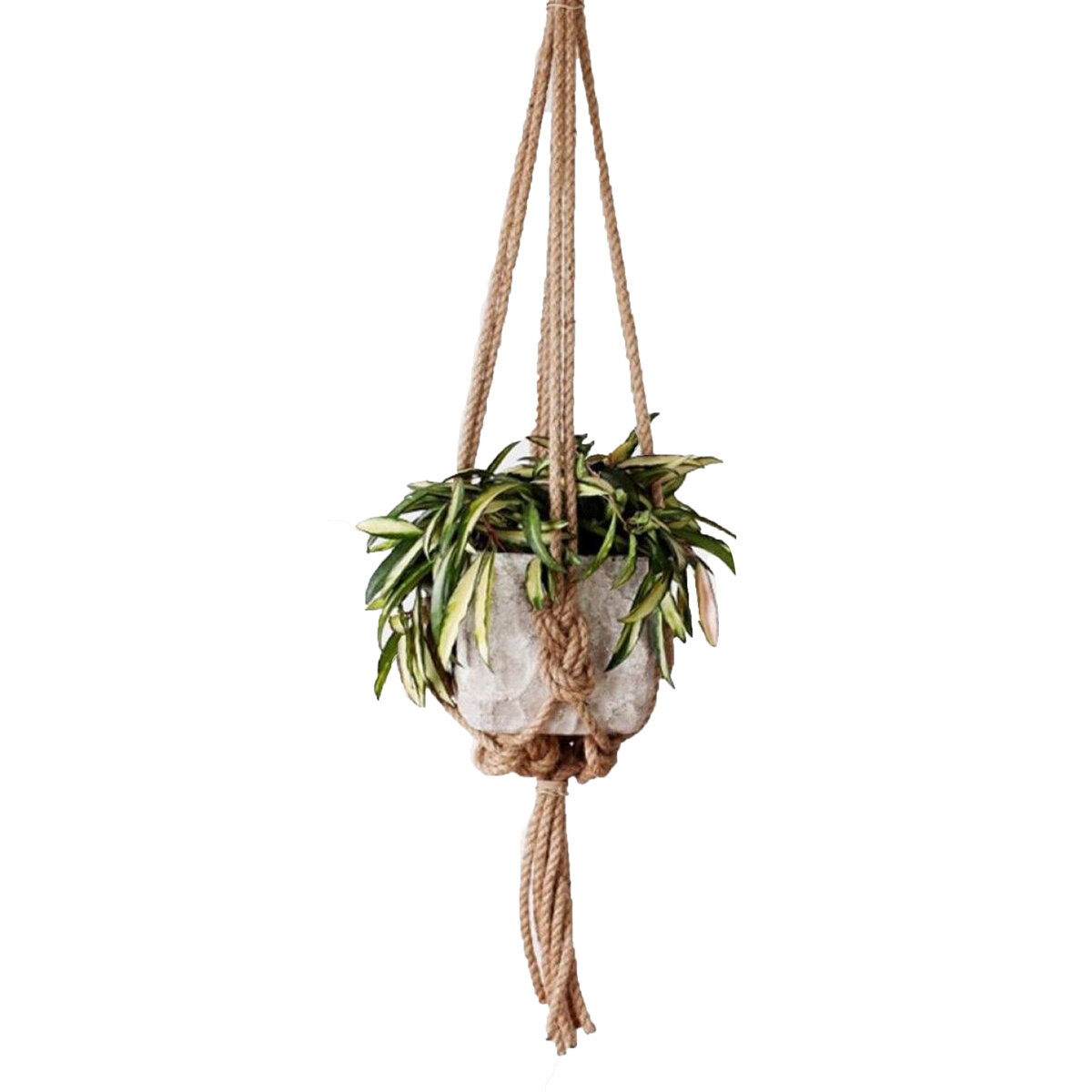 30 Inch Natural Knotted Rope Hanger