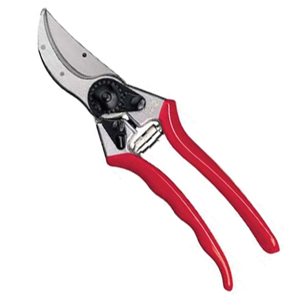 Felco Pruner #2