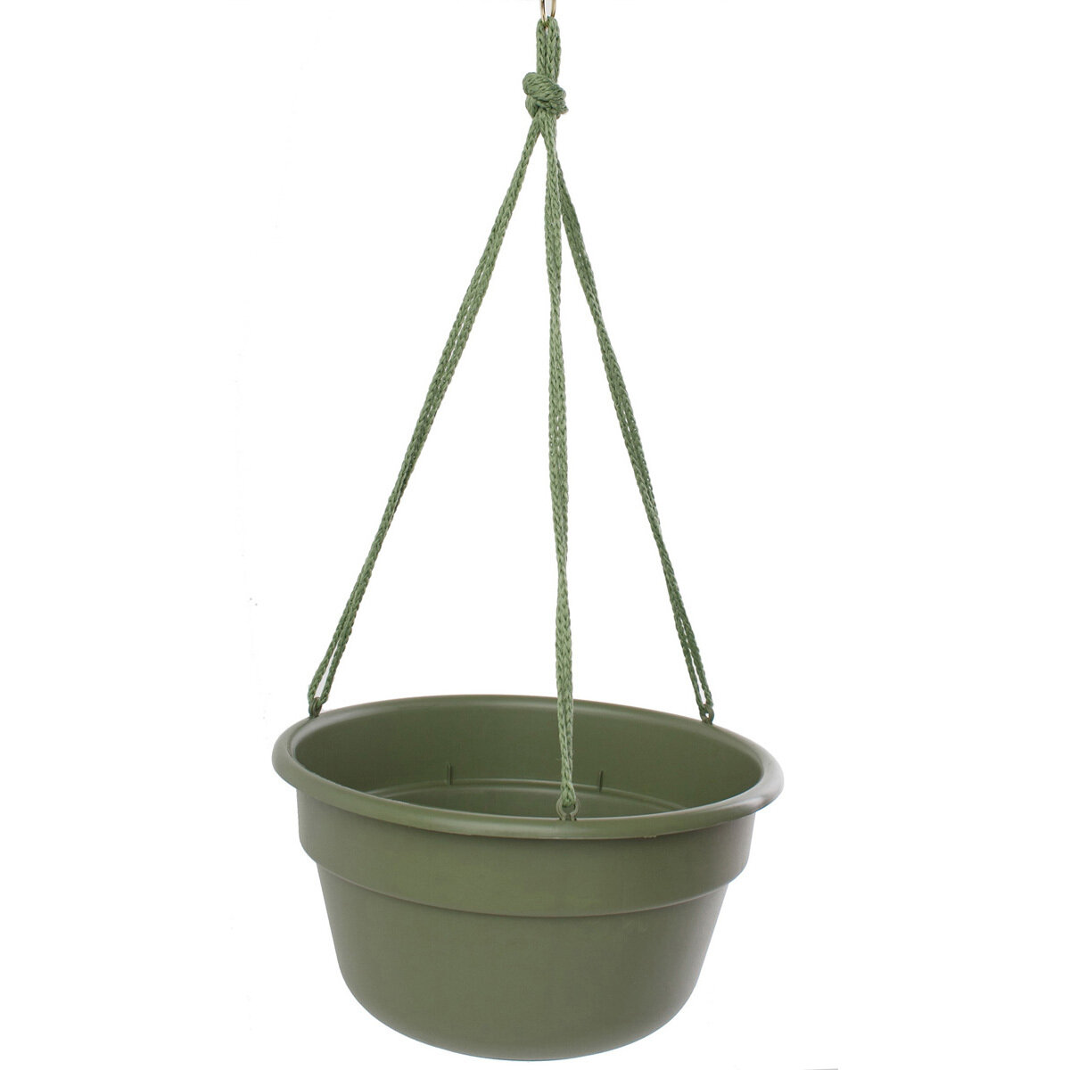 12" Dura Cotta Hanging Basket Living Green