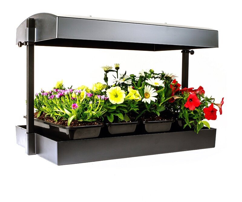 Growlight Garden LED - Black