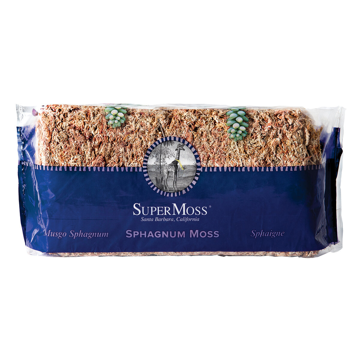 Sphagnum Moss Natural White 0.33lb Retail Bag