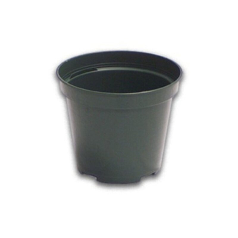 6 6" Standard Green Plastic Pot Regal