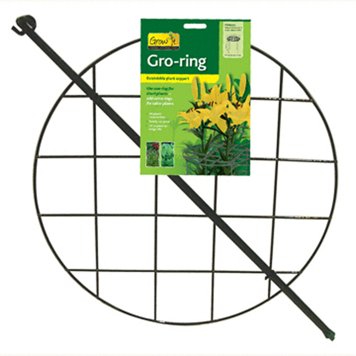 Grow Through Hoops W/3 Legs 20"