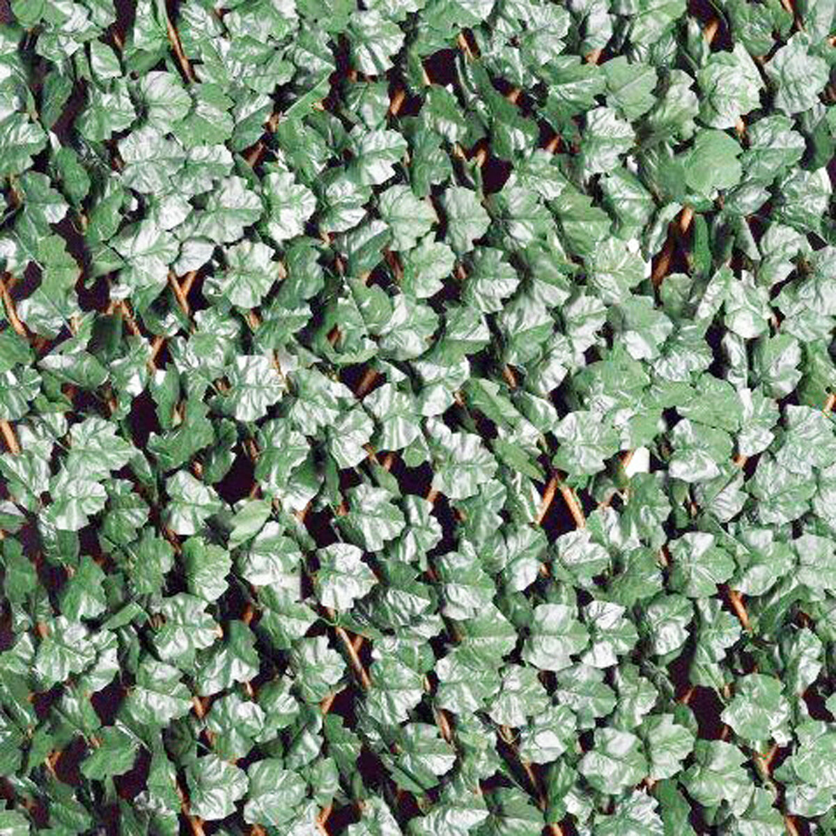 Ivy Leaf Expandable Privacy Screen 6.7'X3.3'