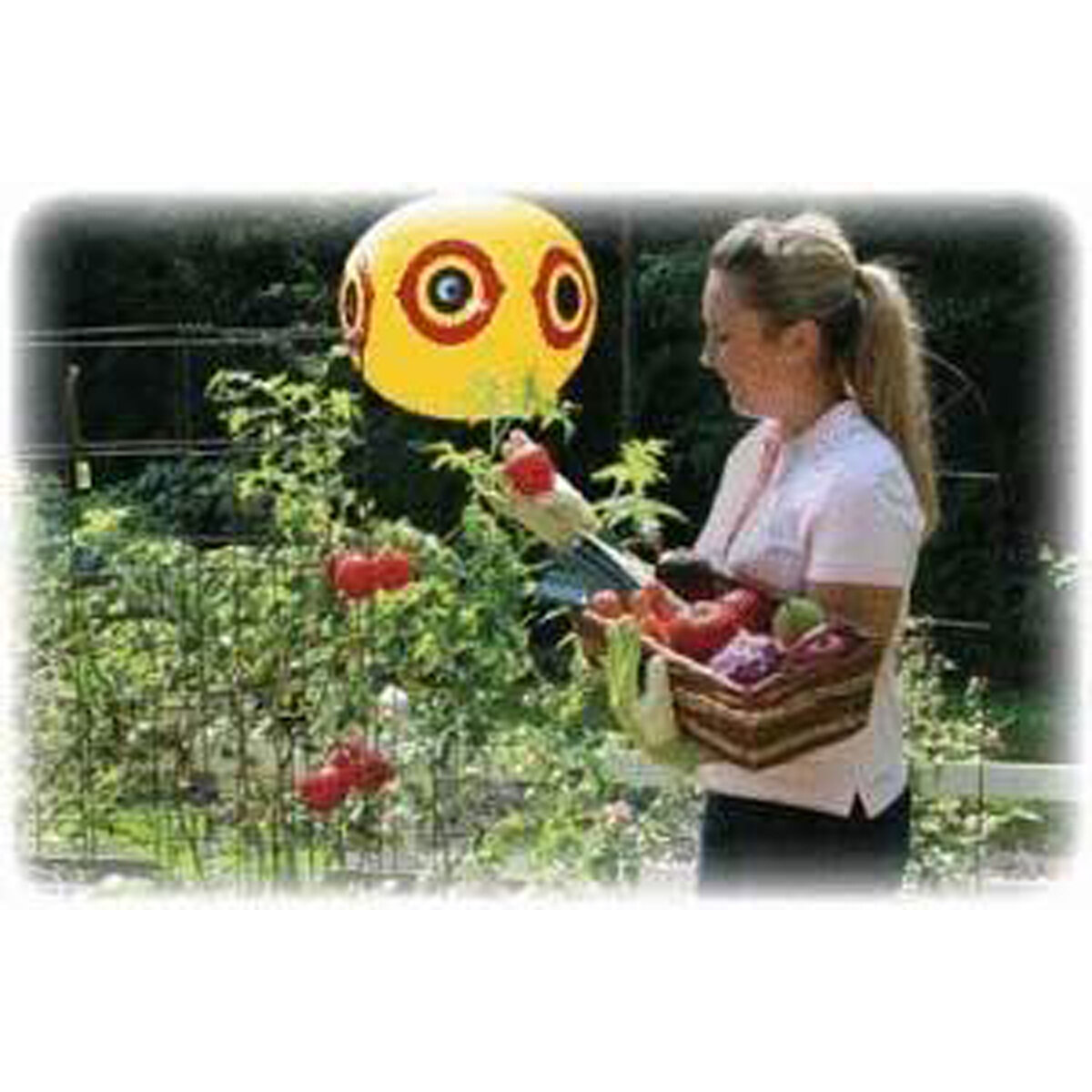 Guard'N Eyes™  Bird-Scaring Balloon