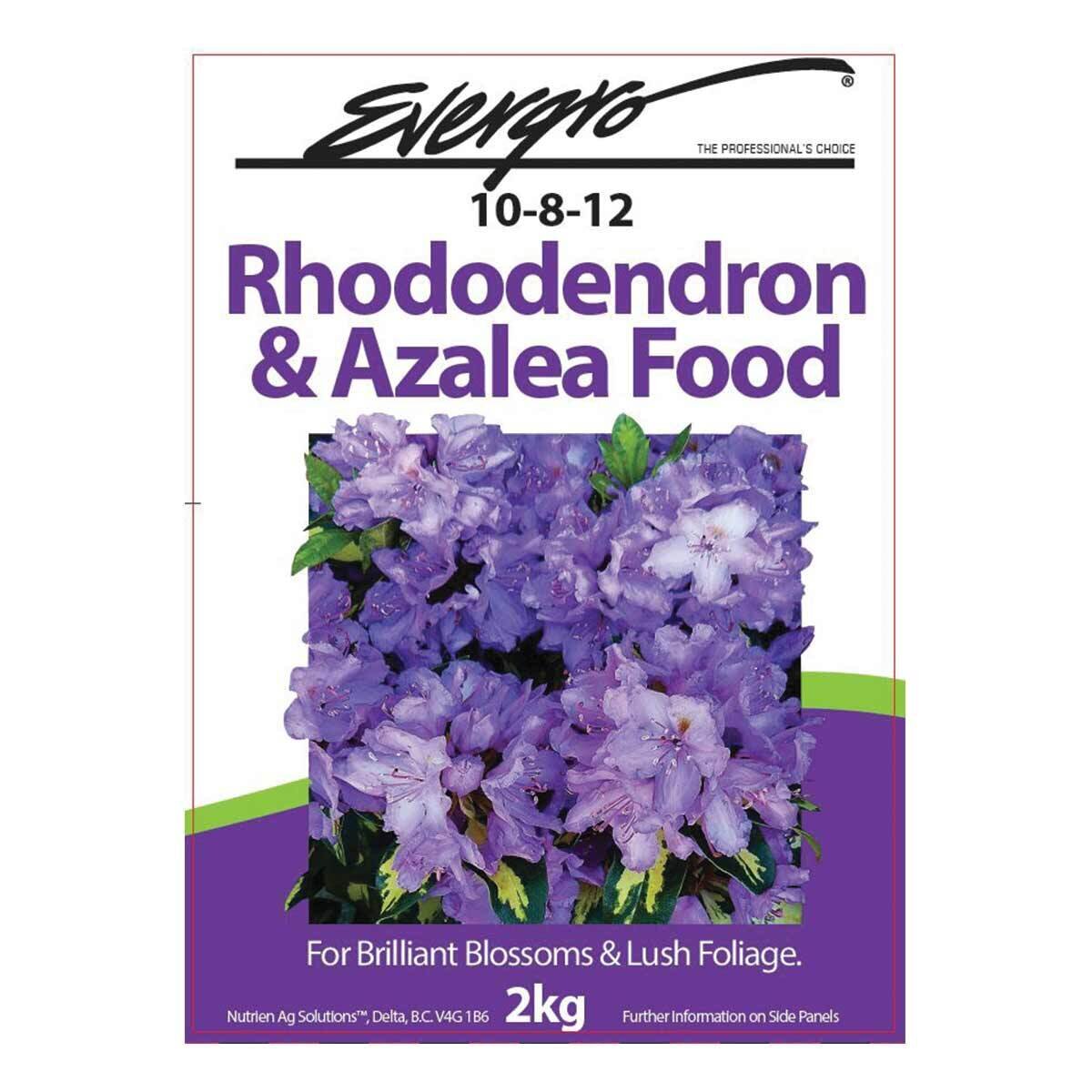 Evergro Rhodo & Azalea 10-8-12  2Kg