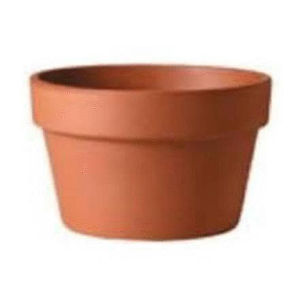 Azalea Pot Clay 31cm/12" (130/Plt)