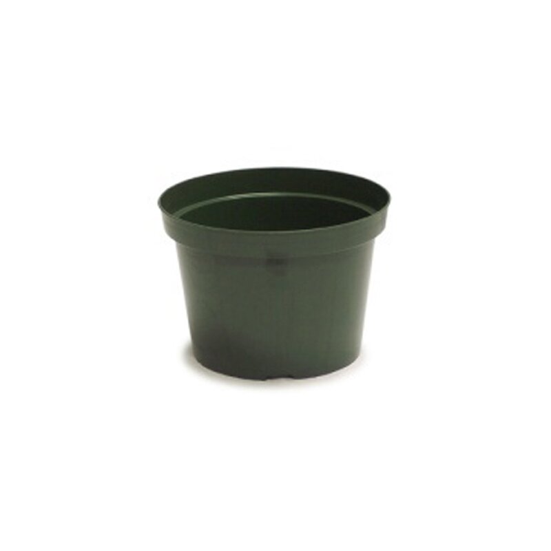 6" Azalea Plastic Pot Regular