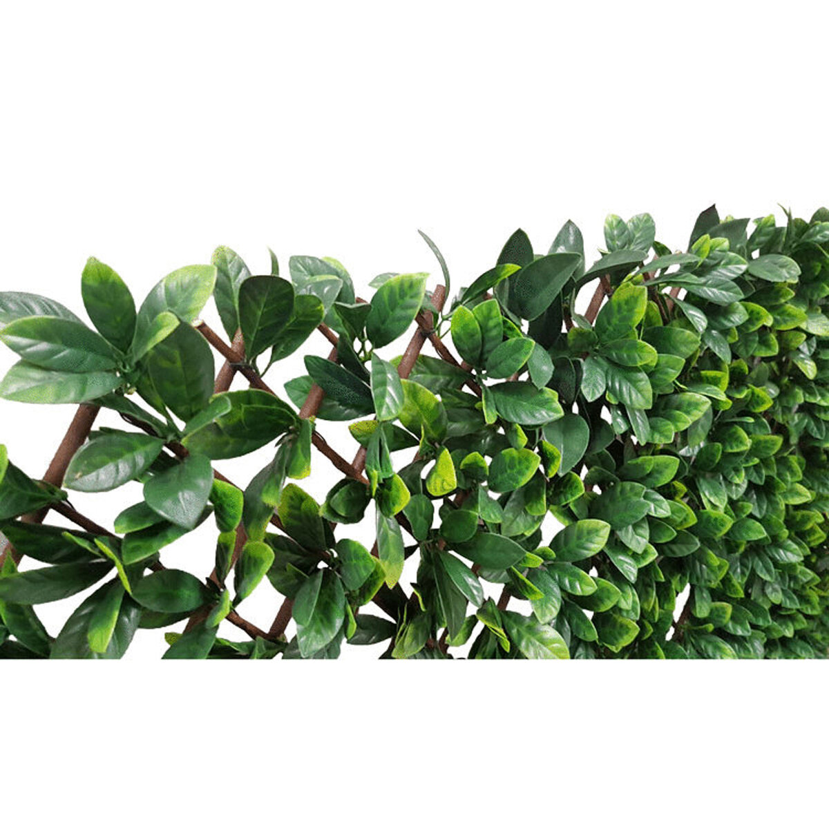 Camellia Leaf Expandable Privacy Screen 6.7'X3.3'