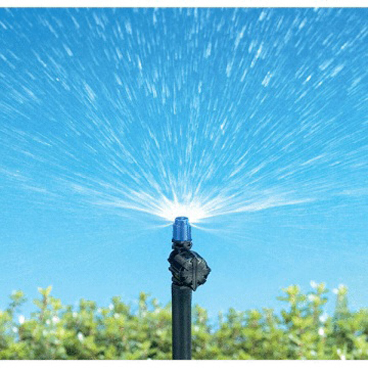Half Circle Adjustable Sprayer 5 Per Card