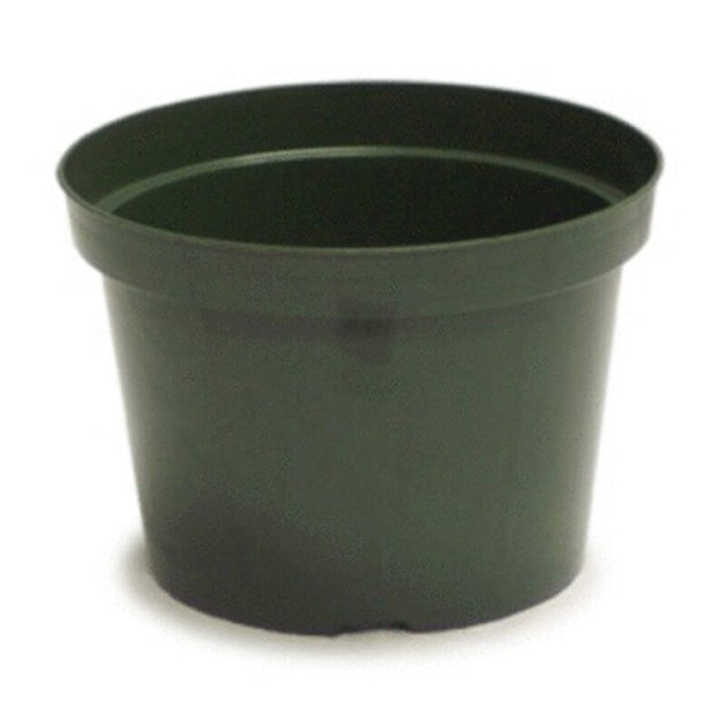 8" Azalea Elite Plastic Pot Green