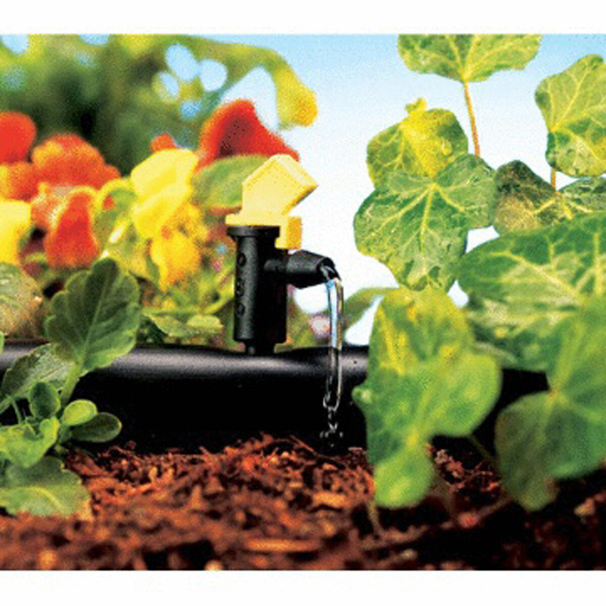 4 Gph Flag Drippers  10 Per Bag