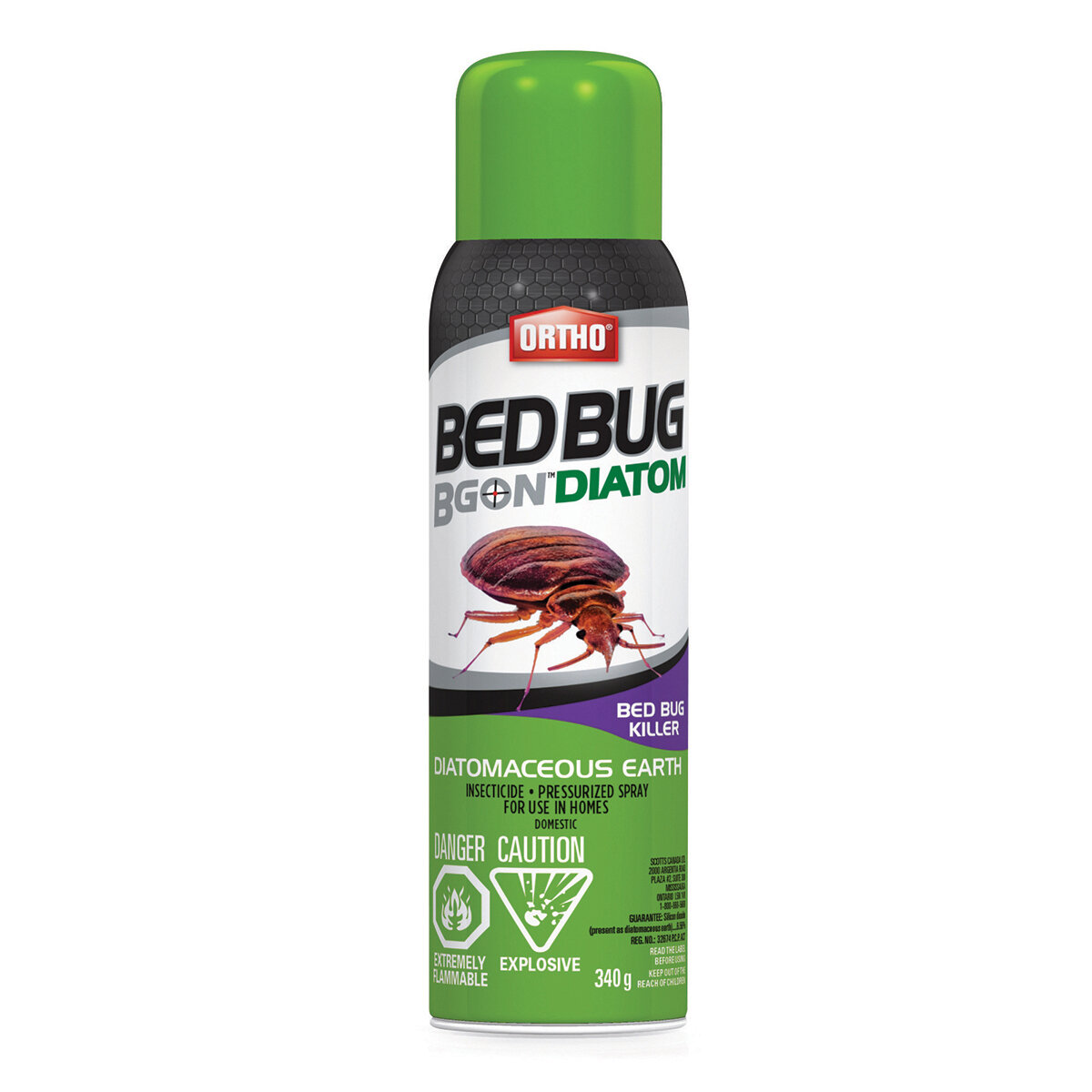 Ortho Bed Bug B Gon Diatom Aerosol 340g (CS ONLY)