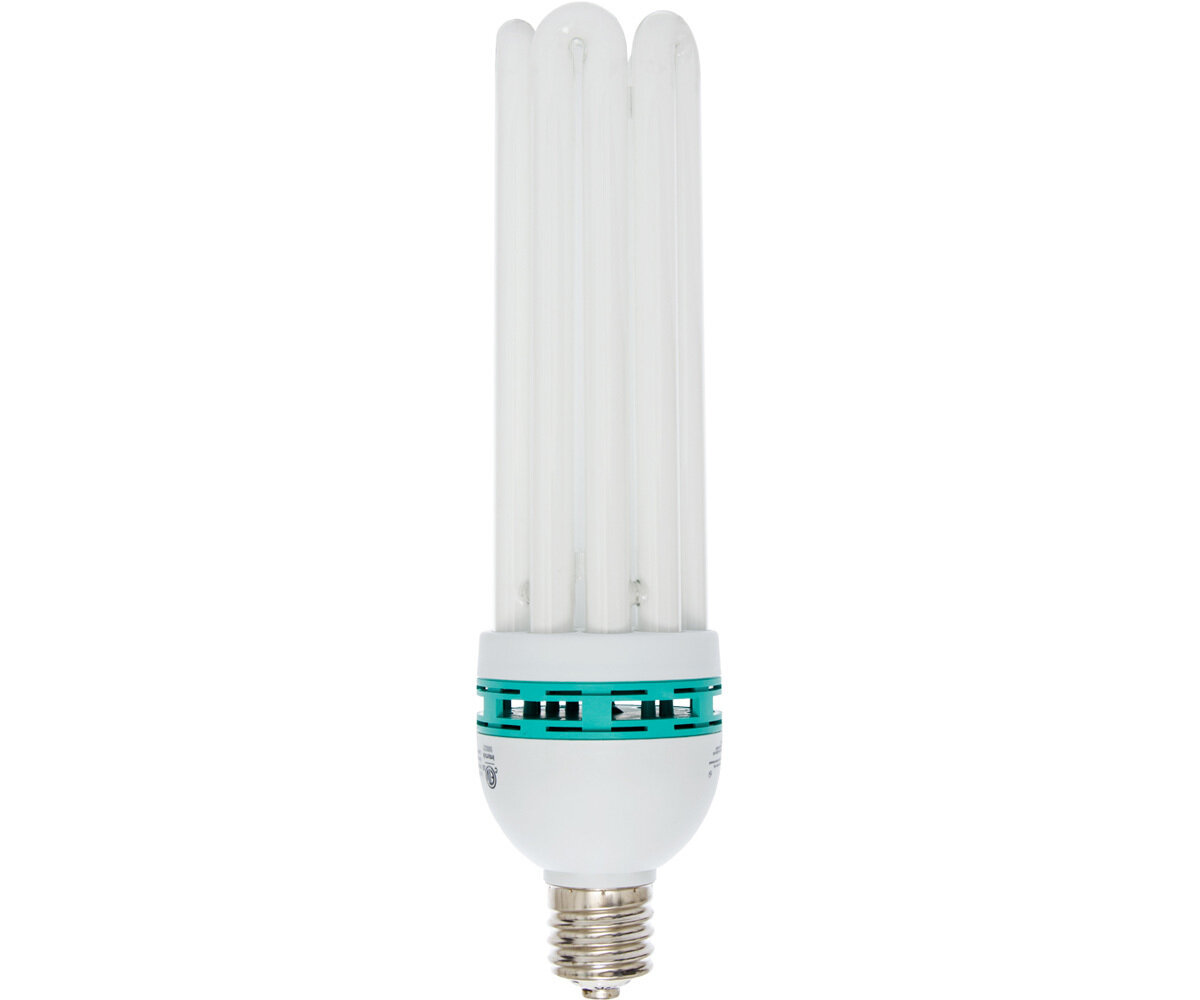 Compact Fluorescent Bulb Warm 125W 2700K