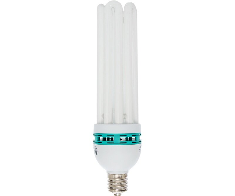 Compact Fluorescent Bulb Warm 125W 2700K Compact Fluorescent Bulb Warm 125W 2700K