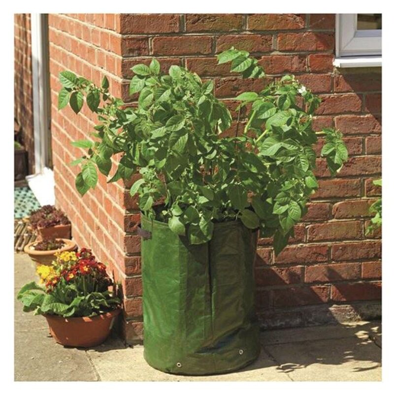 Potato Tub - Pack Of 2
