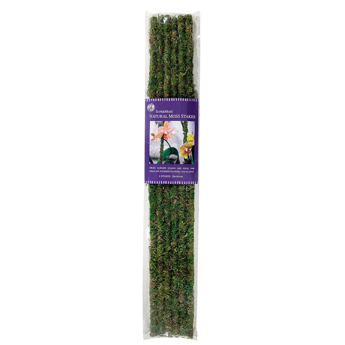 Metal Moss Stake Green 24in 6pc