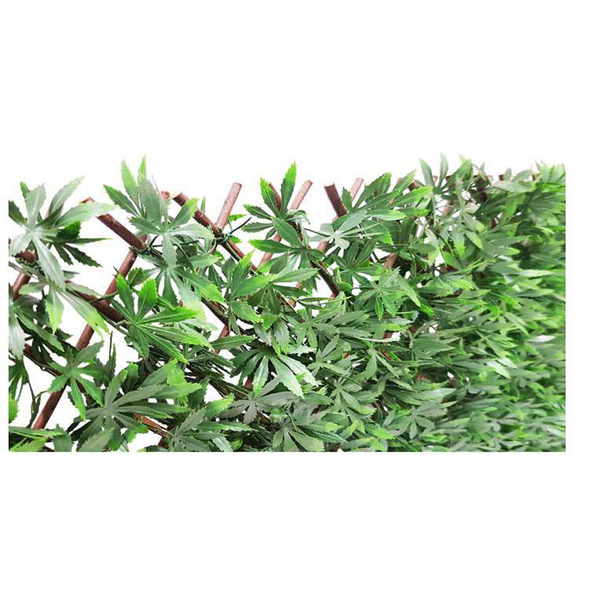 Japanese Maple Grn Expandable Screen 6.7'X3.3'