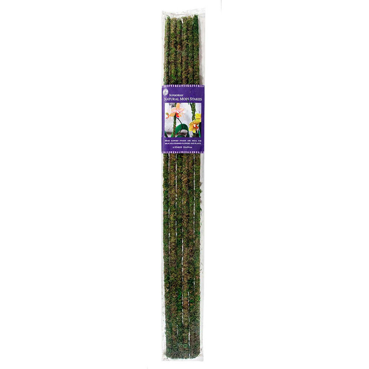 Metal Moss Stake Green 32in 6pc