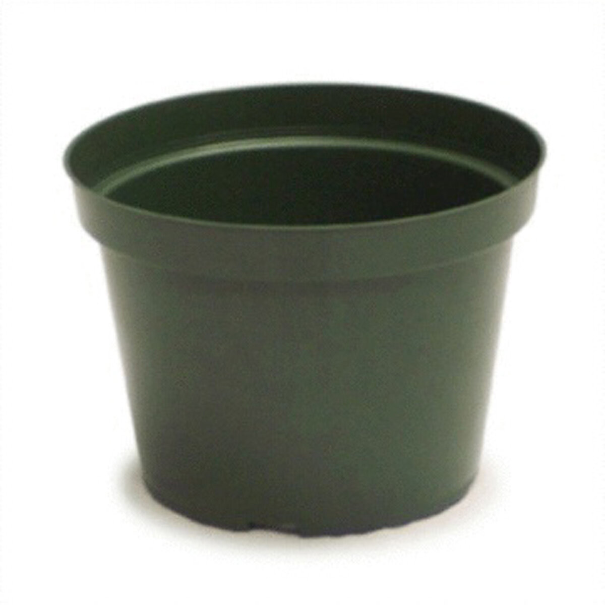 7" Azalea Elite Plastic Pot Green
