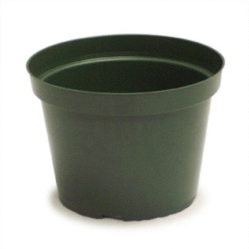 7" Azalea Elite Plastic Pot Green
