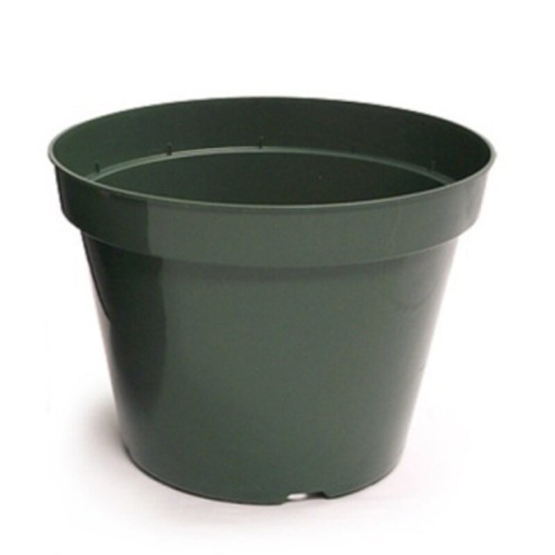 10 10" Azalea Elite Plastic Pot Green