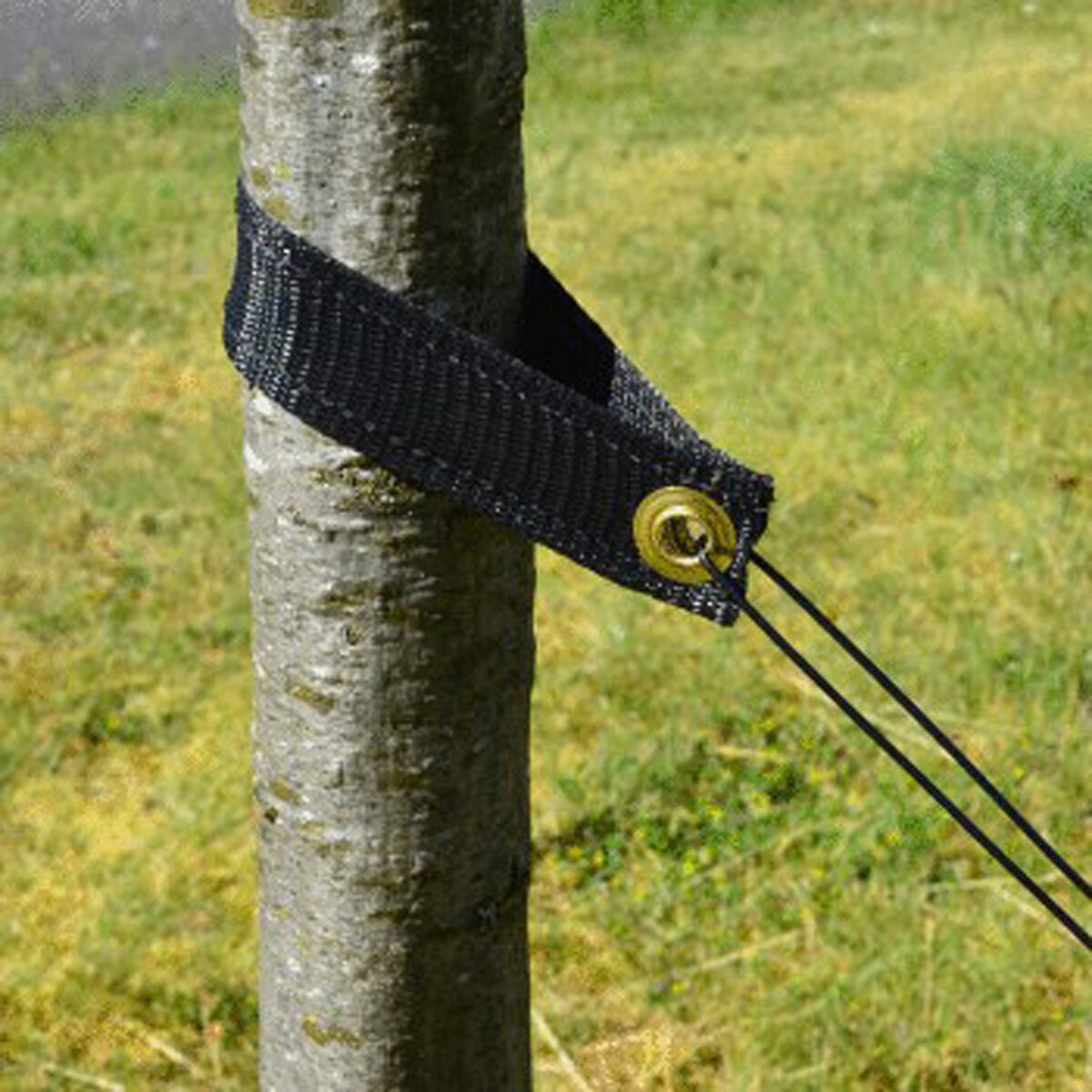 Tree Support Bulk Straps 20"
