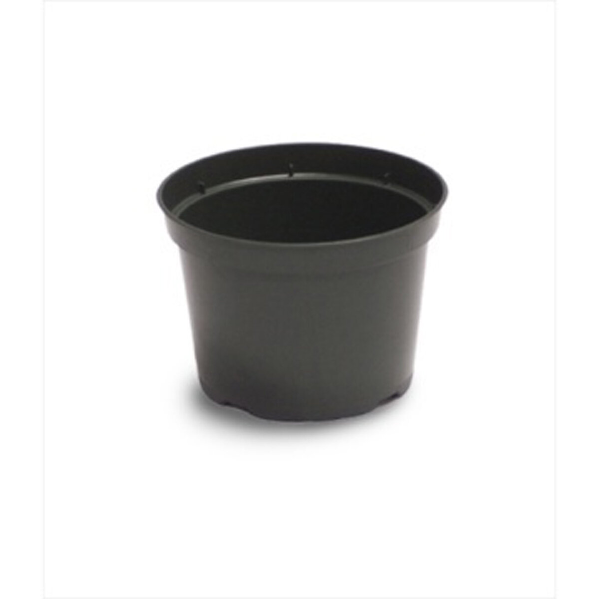 5" Azalea Elite Plastic Pot Green