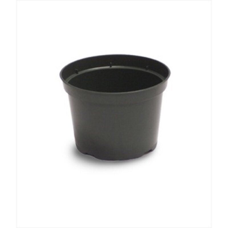 5" Azalea Elite Plastic Pot Green