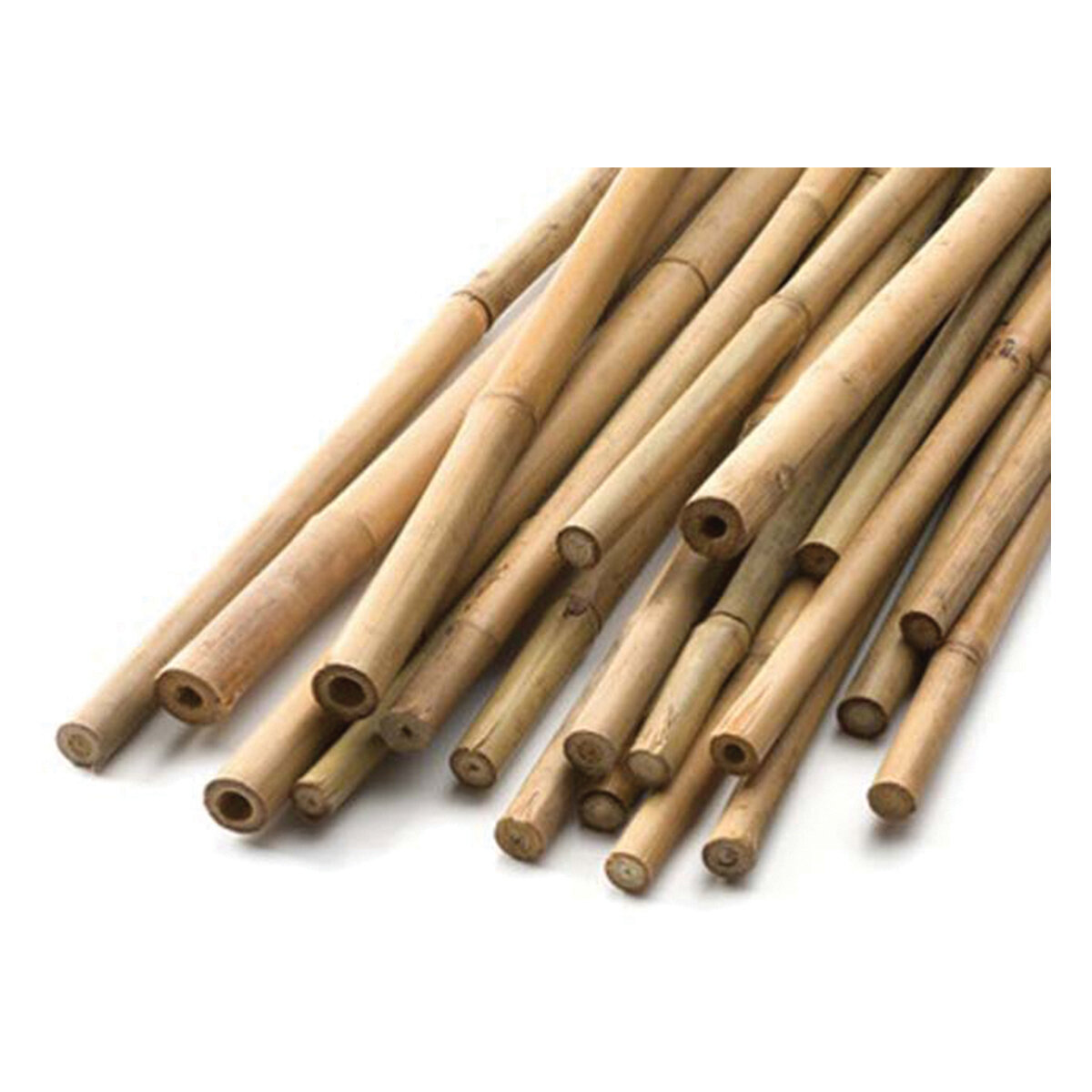 Natural Bamboo Cane 3'x 8-10mm (25/Pk)