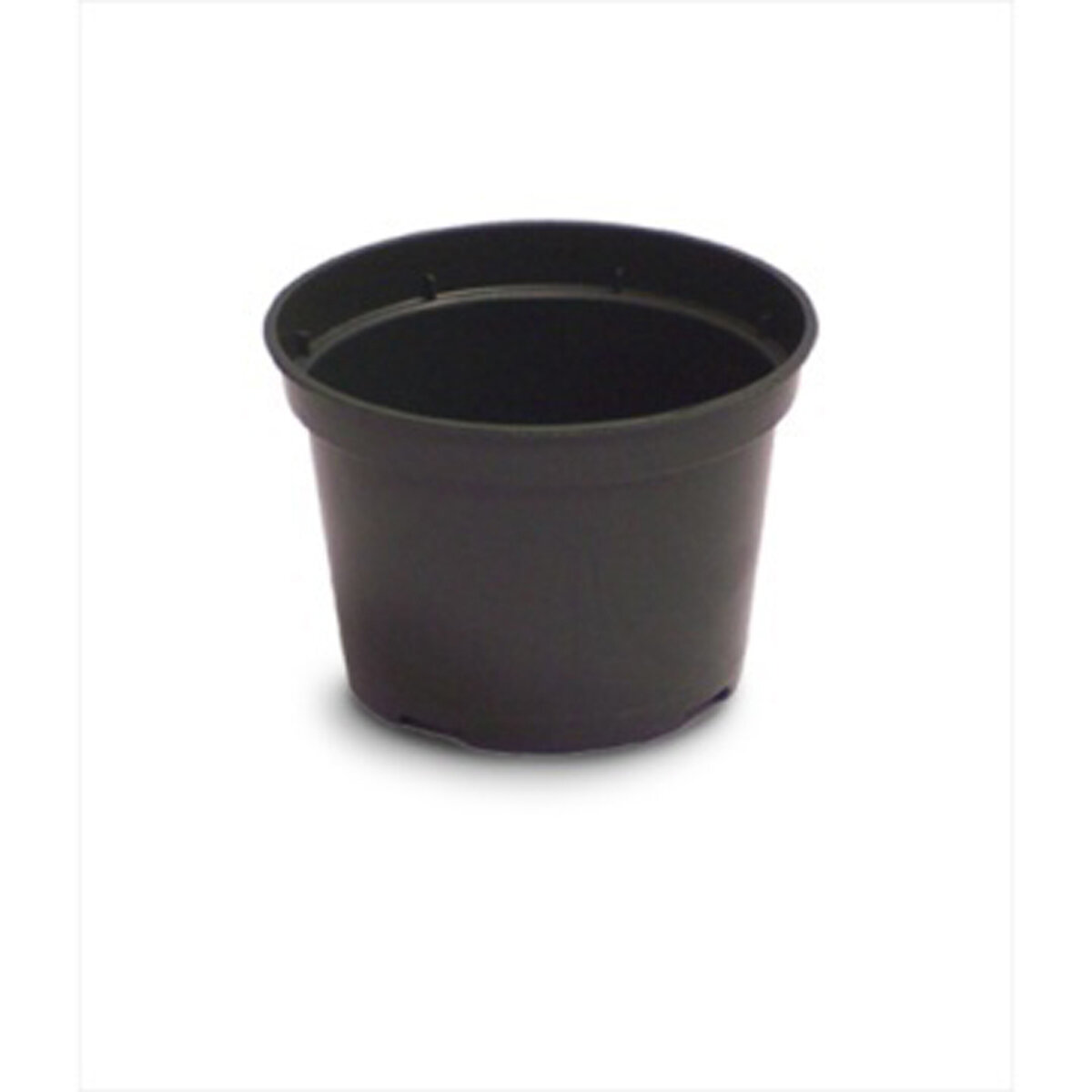 4" Azalea Elite Plastic Pot Green