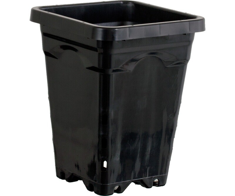 5 5"x 5" Square Black Pot 7" Tall CS (100pc)