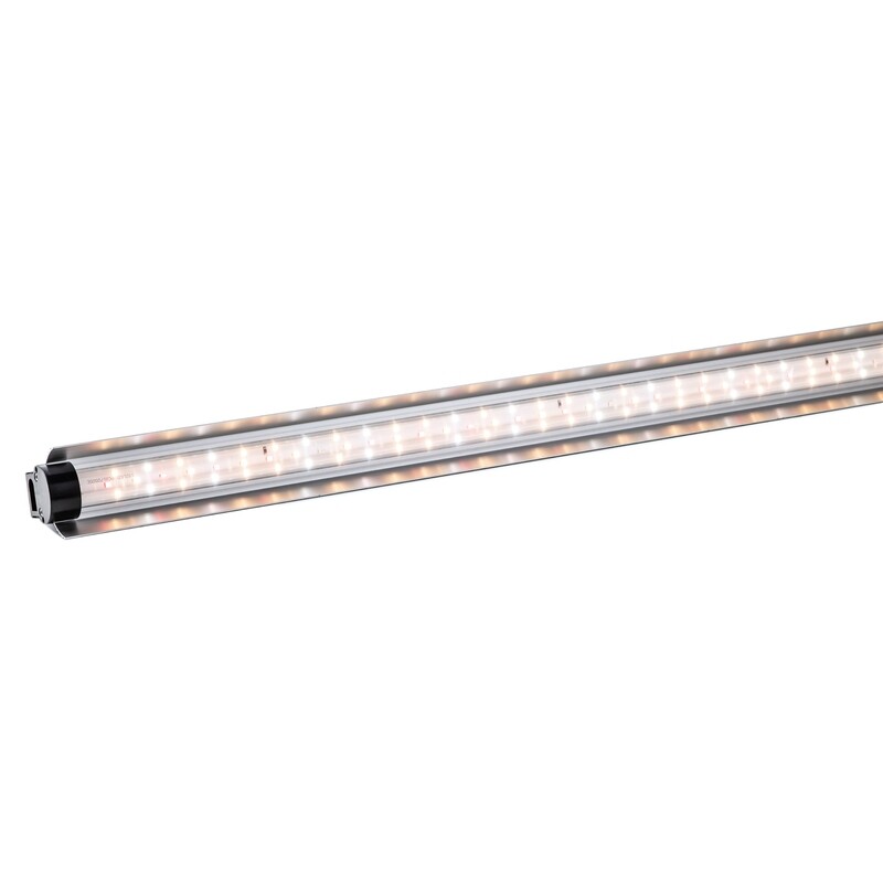 48 48" SB 420LED 48W 3000K - Heavy Fruit & Flower