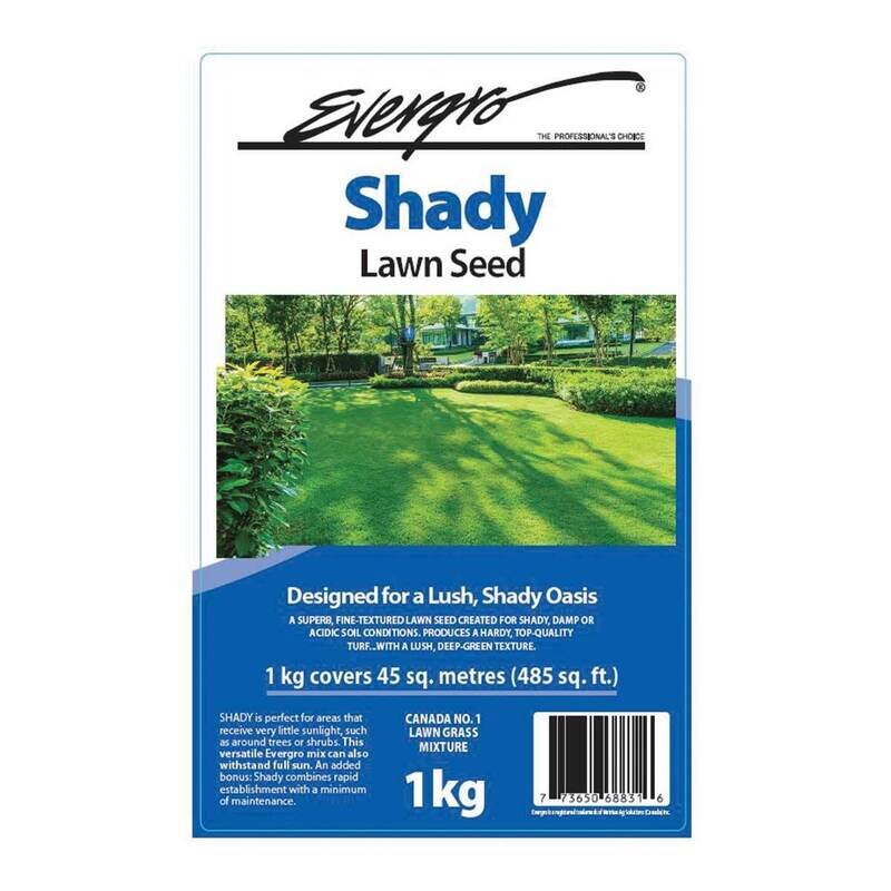 Evergro Shady Grass Seed   1Kg