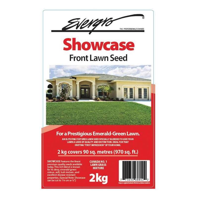 Showcase Front Grass Seed   2Kg