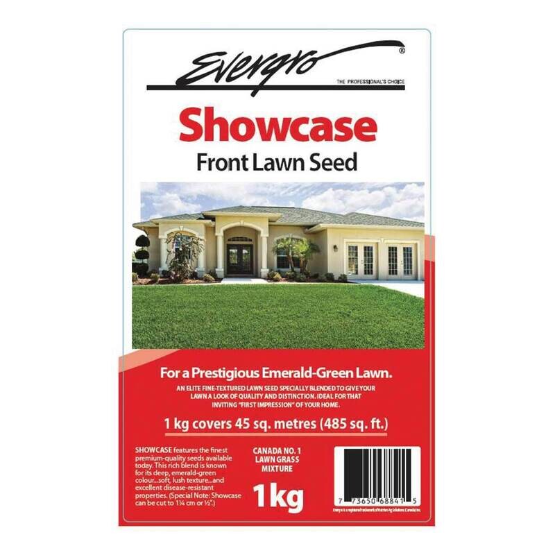 Showcase Front Grass Seed   1Kg
