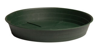 Green Premium Saucer 12 Green Premium Saucer 12", pack of 10