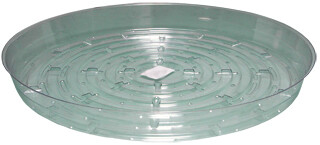 Clear 12 inch Saucer, pack of 10