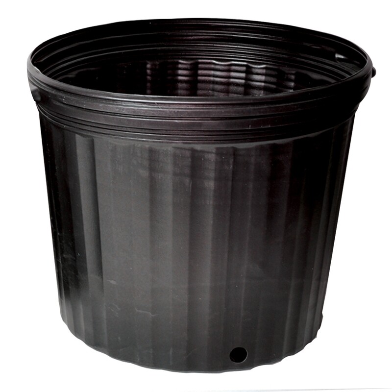 #3 Soft Pot 11''x9.5''