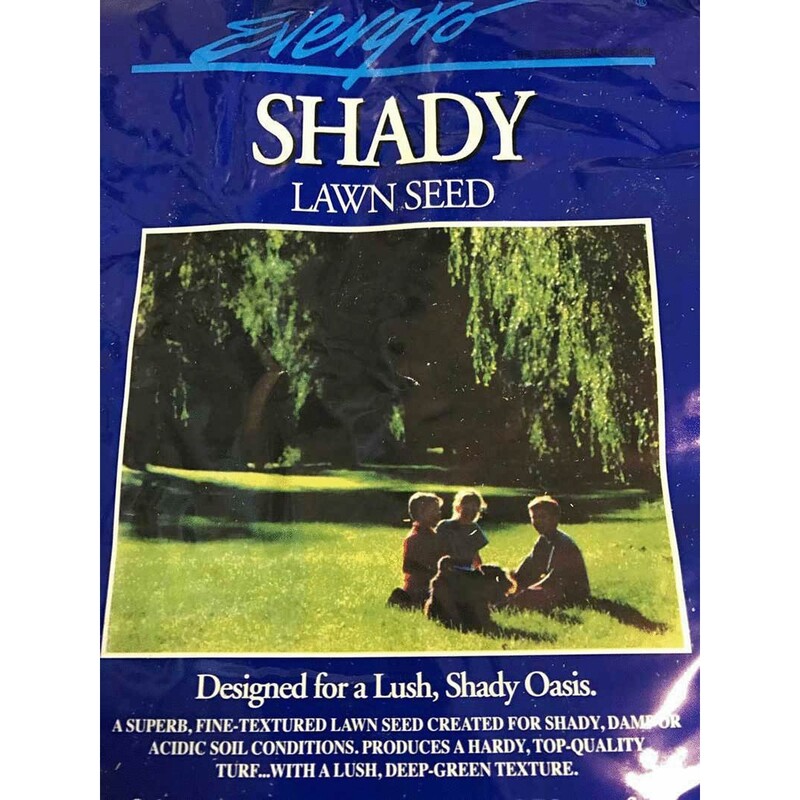 Evergro Shady Grass Seed   10Kg