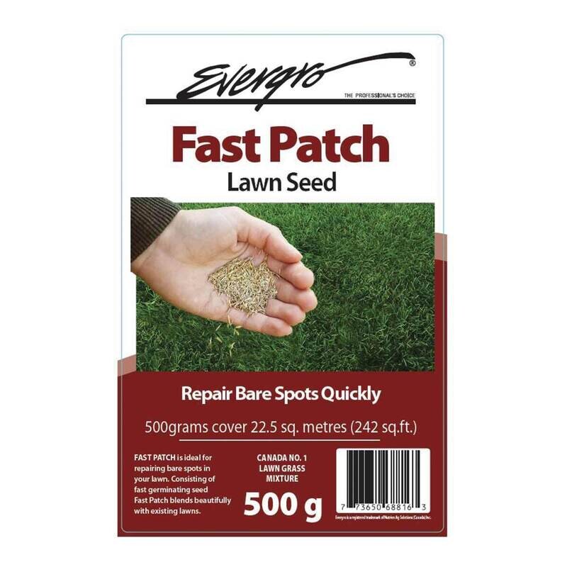 Evergro Fast Patch Grass Seed 500 gr Evergro Fast Patch Grass Seed 500 gr