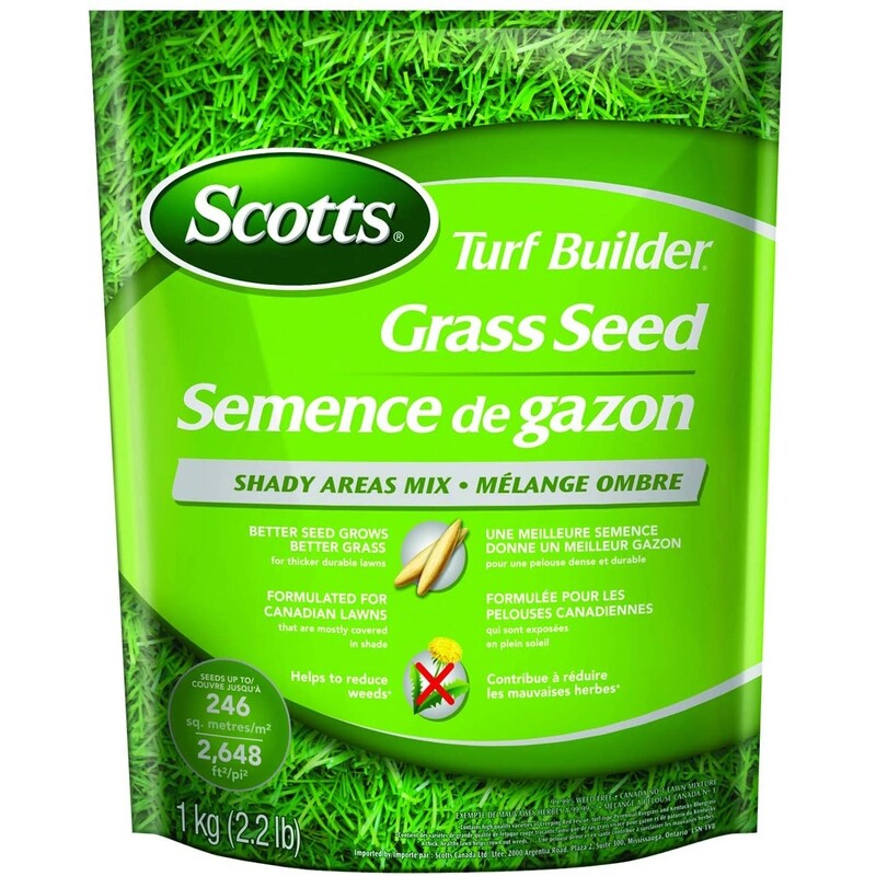 Turf Builder Grass Seed Shady Areas 1Kg Turf Builder Grass Seed Shady Areas 1Kg