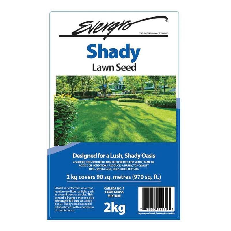Evergro Shady Grass Seed   2Kg