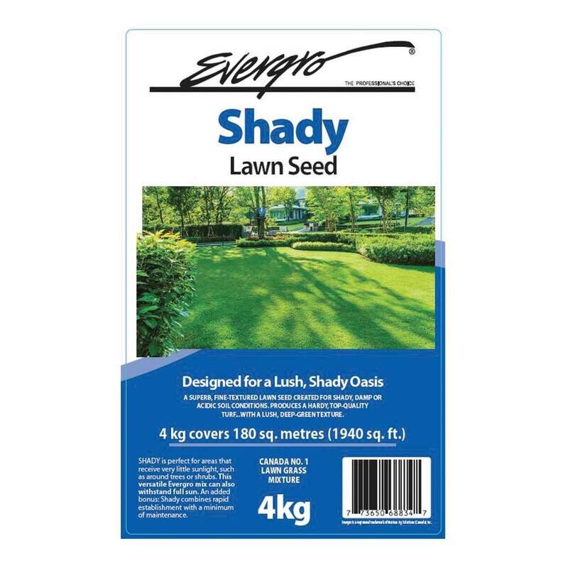 Evergro Shady Grass Seed   4Kg