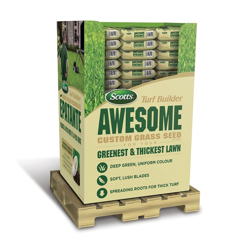 Turf Builder Awesome Seed Blend 1.4Kg DS (72pcs) Turf Builder Awesome Seed Blend 1.4Kg DS (72pcs)