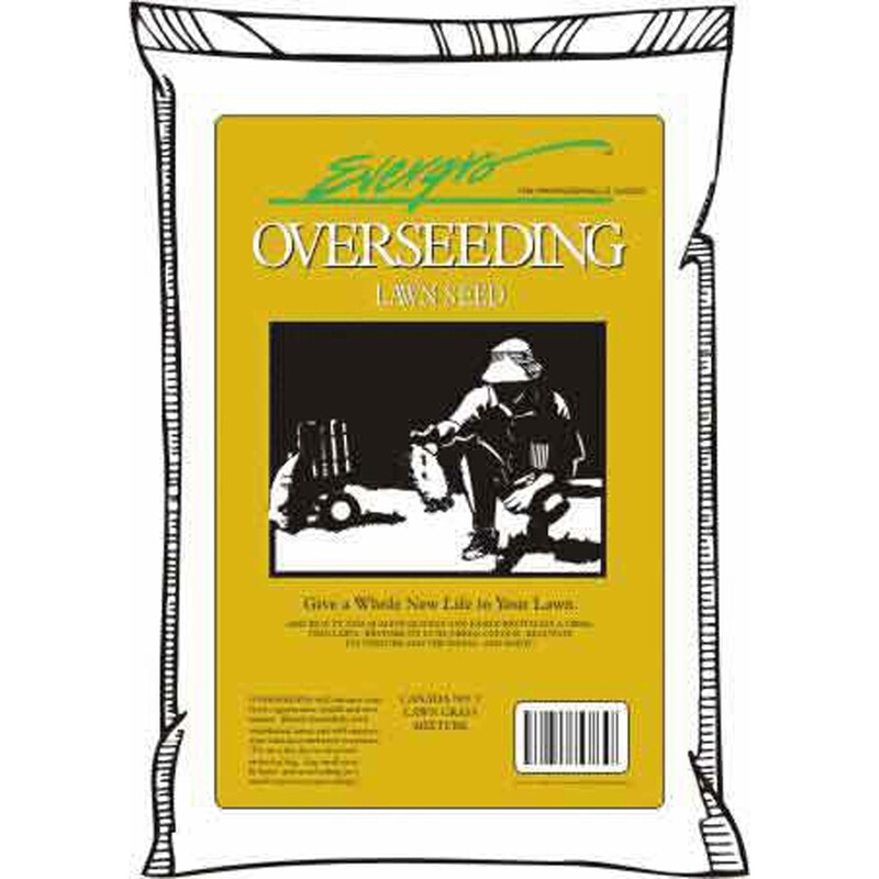 Overseeding Grass Seed  10Kg