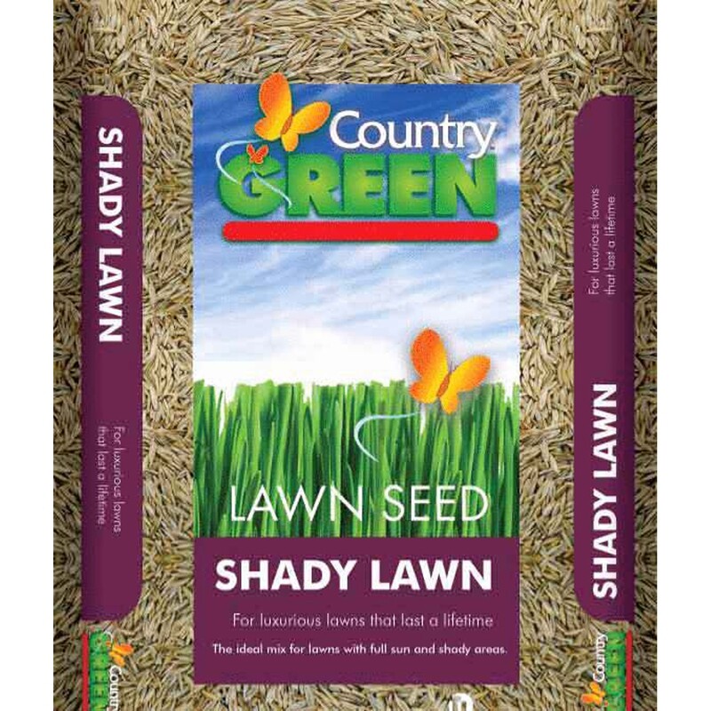 Country Green Overseeder Grass Seed 500Gr Country Green Overseeder Grass Seed 500Gr