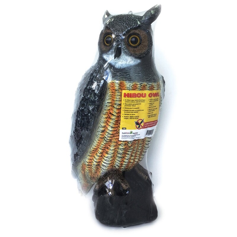 Owl  Natural Color (50Cm x21Cm)  1