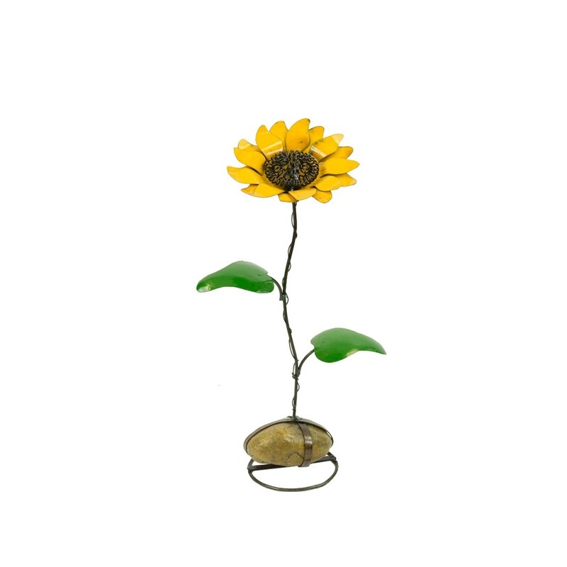 Sunflower On Rock