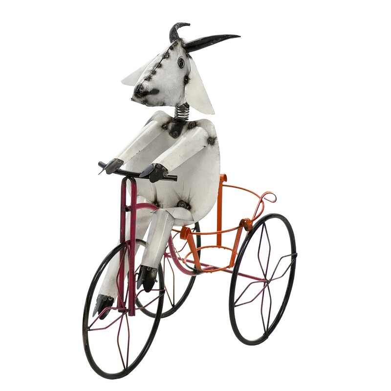 Goat On Tricycle